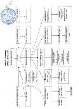 Структура управления  школой